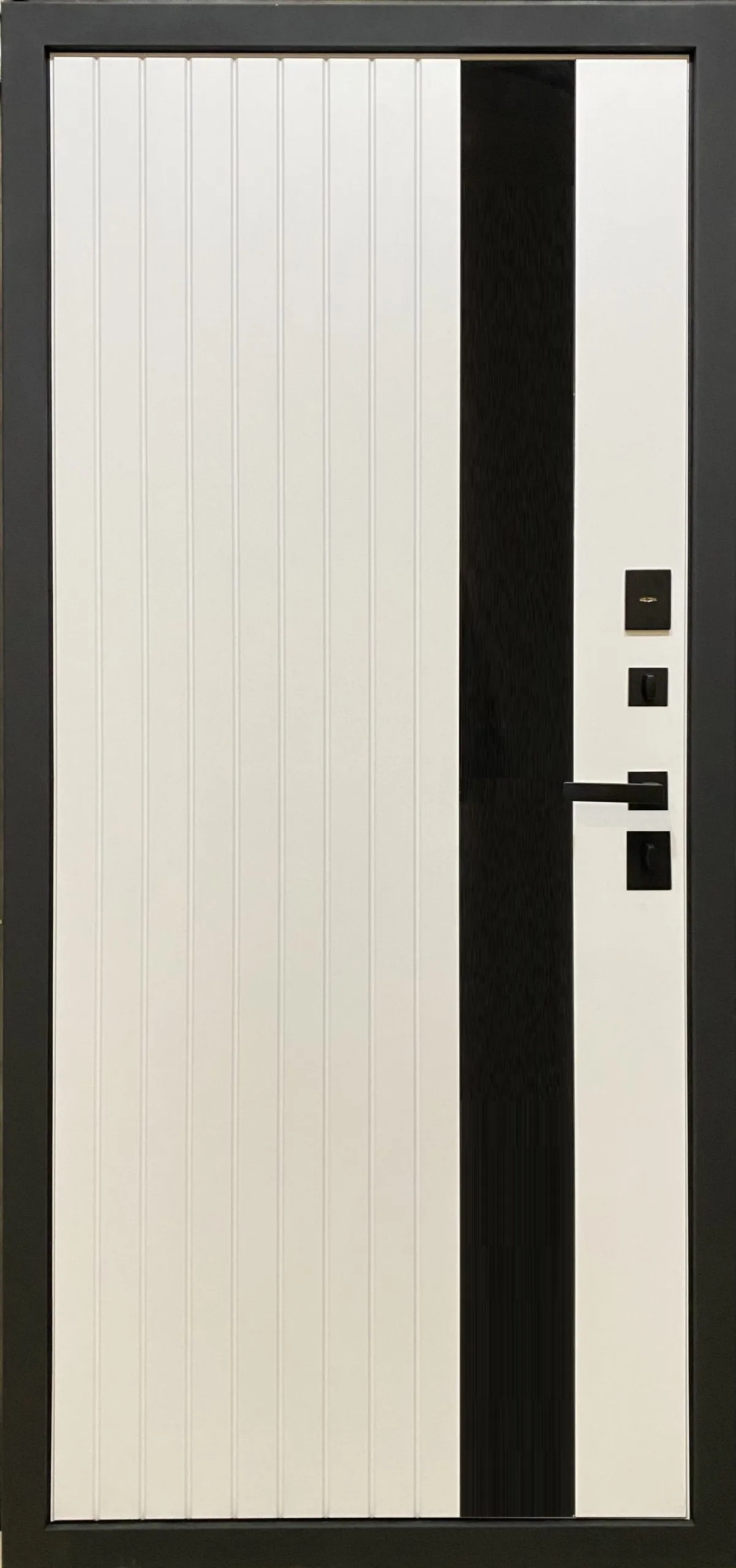 Входная дверь MXDoors MXM-10